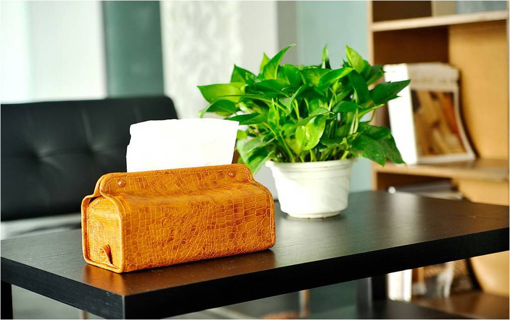 辦公室綠化裝飾的原則